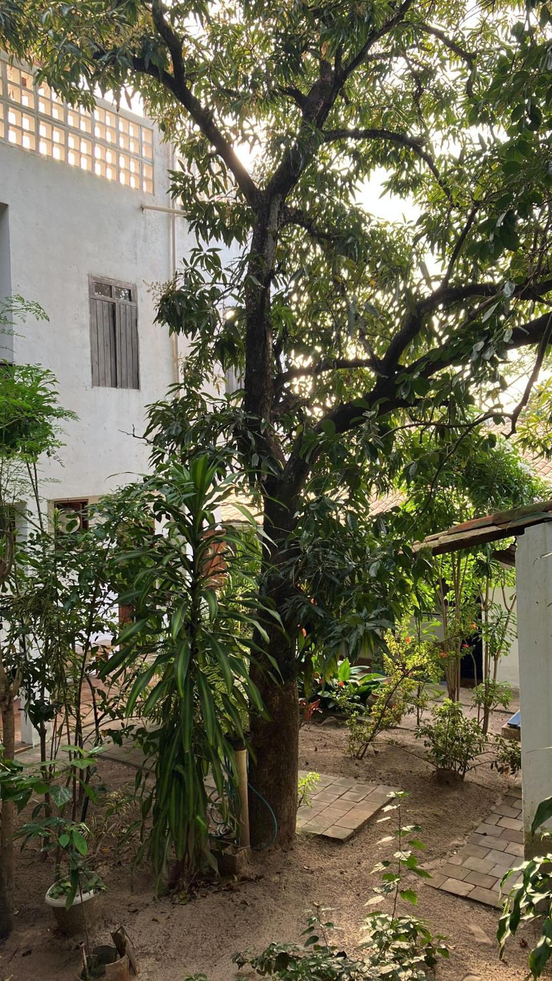 Mangue Seco Suítes&Bistrô Exterior foto
